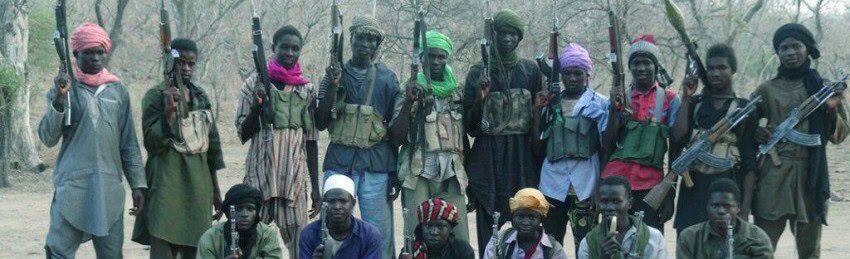 Suicide bombers kill over 30 in Cameroon and Nigeria