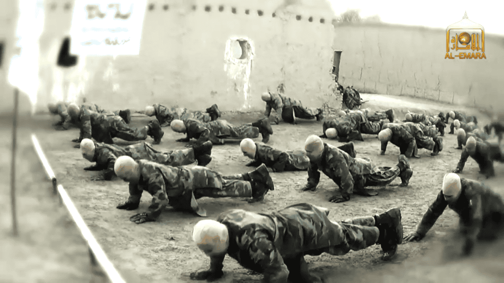 pushups