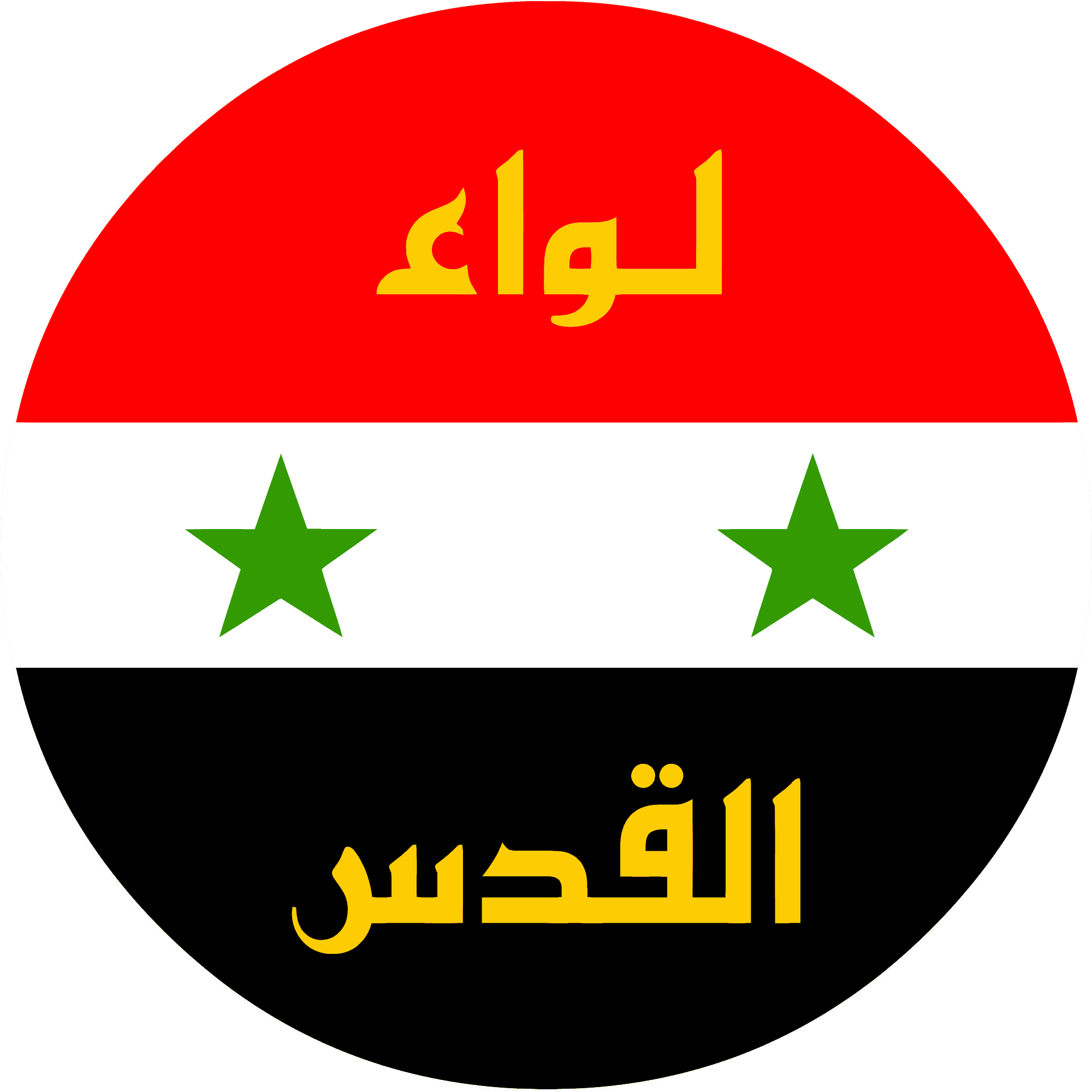 Pro-government Palestinian militia fights in Aleppo