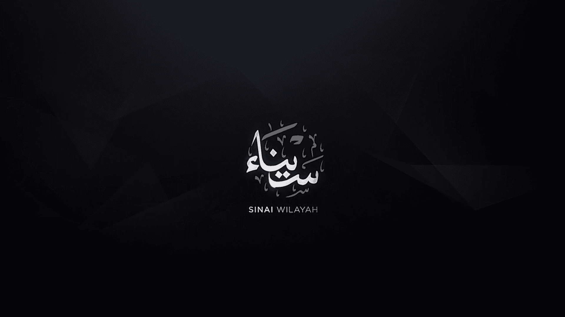 The ISIS insurgency in the Sinai continues despite Egyptian Army efforts