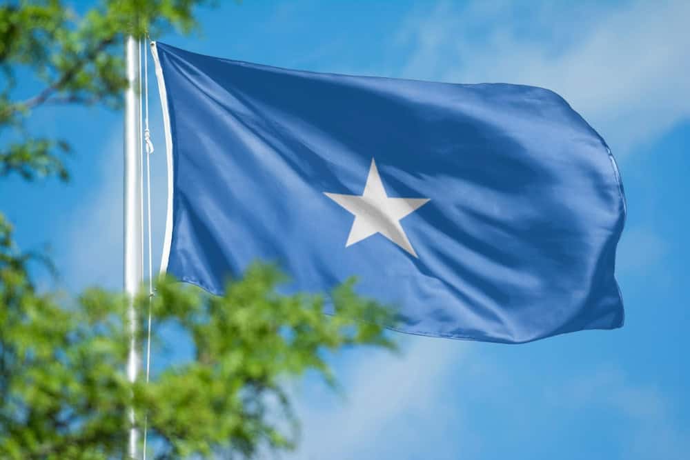 Analysis: Somali forces turn their weapons on each other