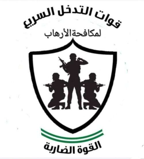 New anti-Hamas militia emerges in Gaza