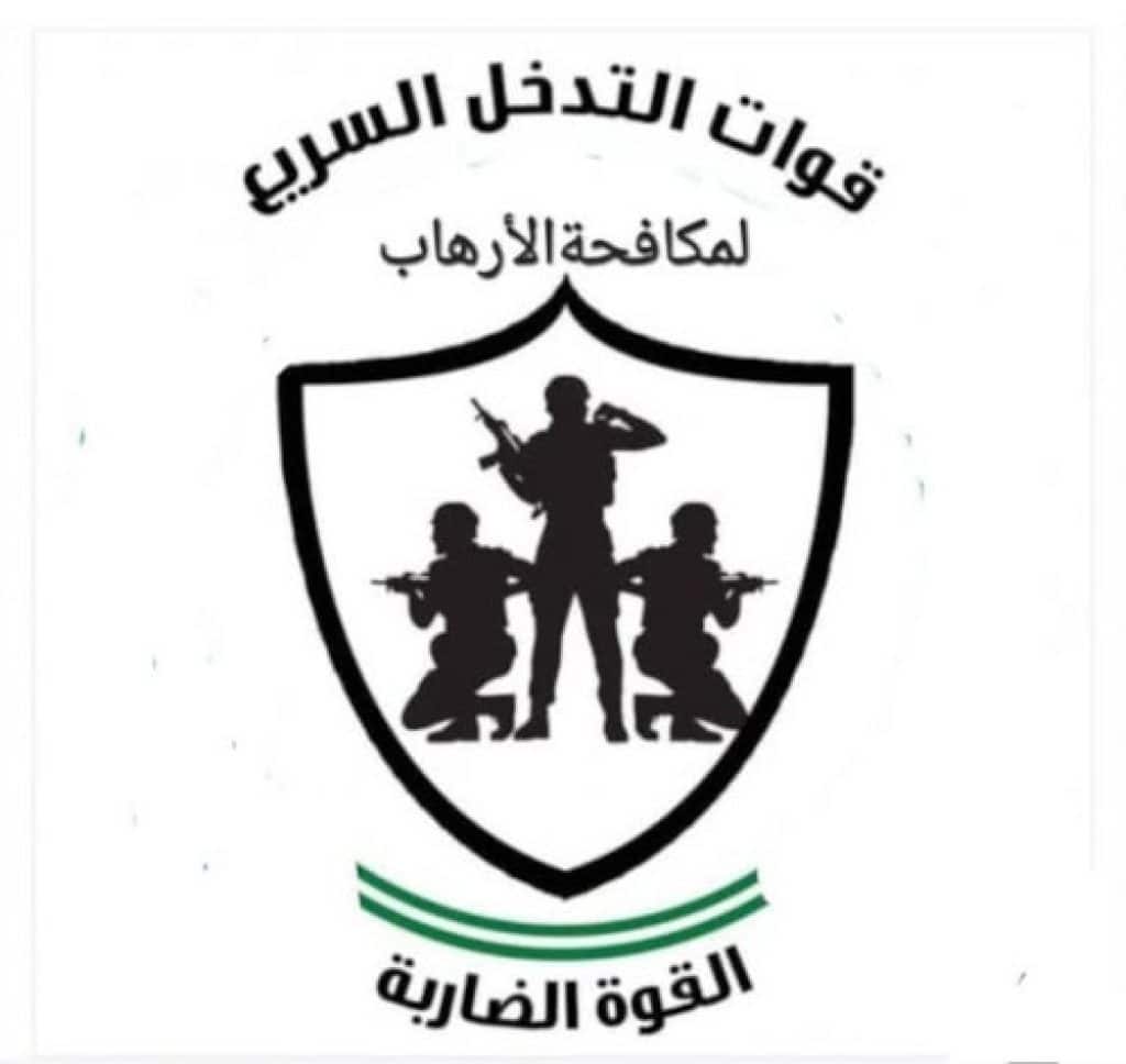 Counter-Terrorism Strike Force logo