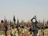 Islamic State Sahel fighters