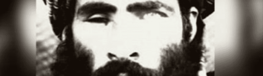 Osama Bin Laden’s Files: Letters to the ‘Commander of the Faithful’