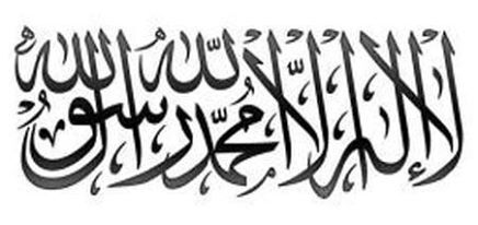 Taliban does not want ‘a share of the power’
